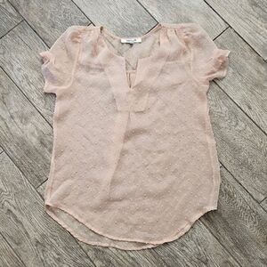 Daniel Rainn Light Pink Sheer Clip Dot Short Sleeve Blouse Size S
